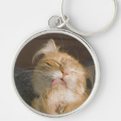 美しいMaine Coon Catクローズアップ写真 キーホルダー (正面)