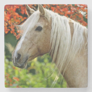 美しいPalominoのばん馬 ストーンコースター