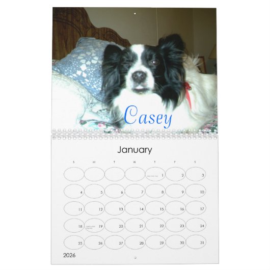 美しいPapillons 2007年 カレンダー (1月 2026)