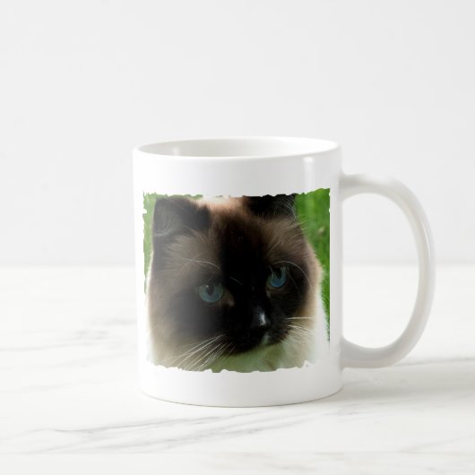 美しいRagdoll猫のマグ コーヒーマグカップ (右)