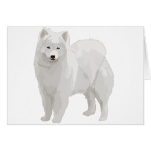 美しいSamoyed