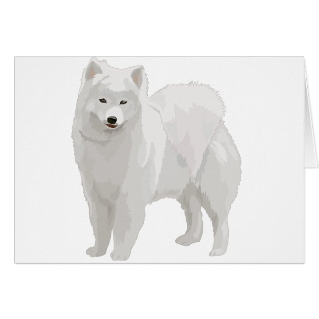 美しいSamoyed (正面横)