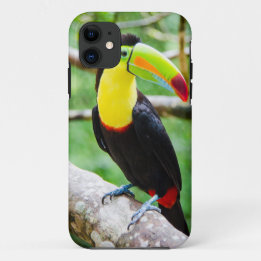 美しいToucan iPhone 11 ケース