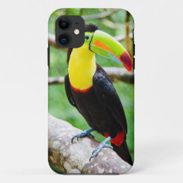 美しいToucan iPhone 11 ケース