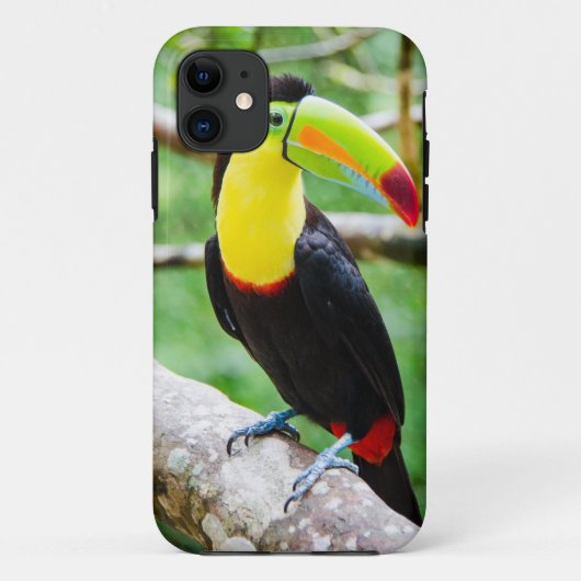 美しいToucan Case-Mate iPhoneケース (裏面)