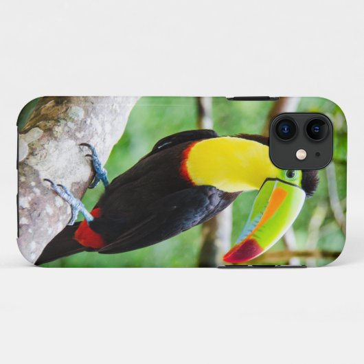美しいToucan Case-Mate iPhoneケース (裏面(横))