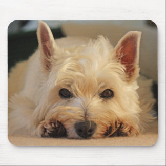 美しいWestie犬のマウスパッド/マウスのマット マウスパッド