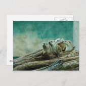 美しおもしろいい色の背景にある3人のカワウソ ポストカード (正面/裏面)