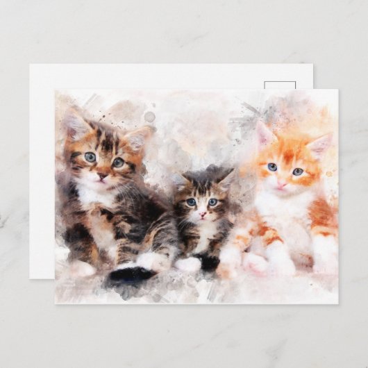 美しくて可愛い子猫の水彩三色 ポストカード (正面/裏面)