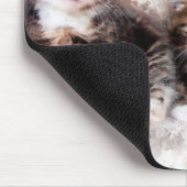 美しくて可愛い子猫の水彩三色 マウスパッド (コーナー)