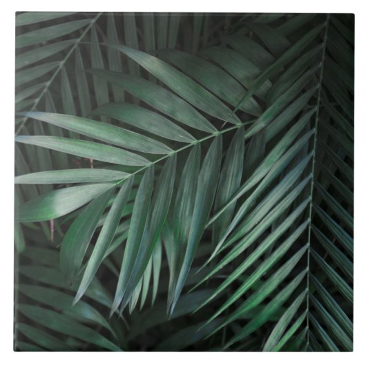 美しくて熱エレガント帯葉のセラミックタイル タイル (正面)