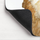 美しくまれなWheaten Ameraucanaの雌鶏の鶏 マウスパッド (コーナー)