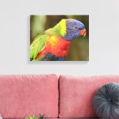美しくカラフル鸚鵡 キャンバスプリント (インサイチュ (リビング))