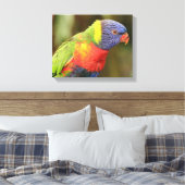 美しくカラフル鸚鵡 キャンバスプリント (インサイチュ (寝室))