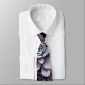 美しくパターン(の模様が)ある多肉植物 ネクタイ (タイ)