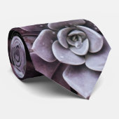 美しくパターン(の模様が)ある多肉植物 ネクタイ (ロール)