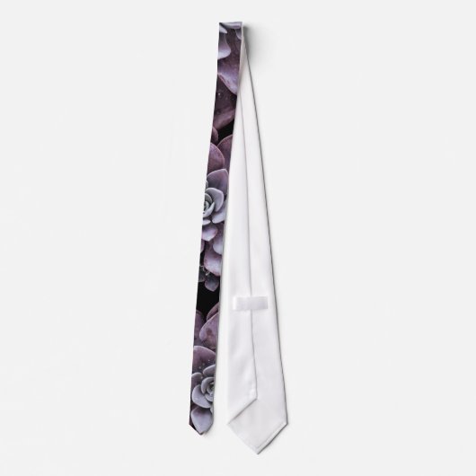 美しくパターン(の模様が)ある多肉植物 ネクタイ (裏面)