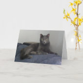 美しくロシアのな青猫の挨拶状 カード (黄色い花)