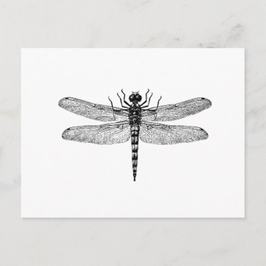 美しく及びシンプルなヴィンテージのトンボ ポストカード (正面)