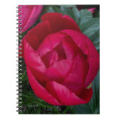 美しく咲く赤い牡丹 ノートブック (正面)