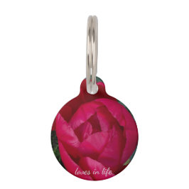 美しく咲く赤い牡丹 ペット　ネームタグ