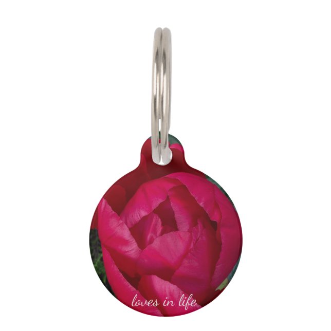 美しく咲く赤い牡丹 ペット　ネームタグ (正面)