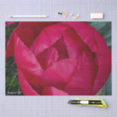 美しく咲く赤い牡丹 薄葉紙 (クラフト)