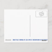 美しく壊れたファンタジーオリジナルアートはがき ポストカード (裏面)