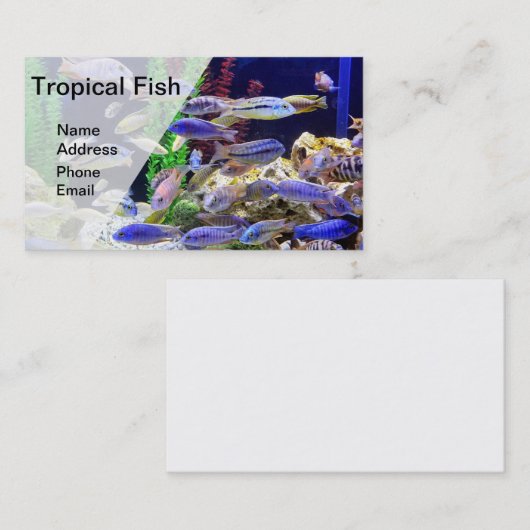 美しく多彩な熱帯魚が付いているアクアリウム 名刺 (正面/裏面)