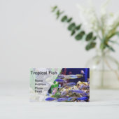 美しく多彩な熱帯魚が付いているアクアリウム 名刺 (スタンド正面)