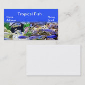 美しく多彩な熱帯魚が付いているアクアリウム 名刺 (正面/裏面)
