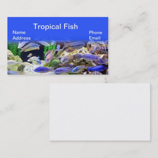美しく多彩な熱帯魚が付いているアクアリウム 名刺 (正面/裏面)