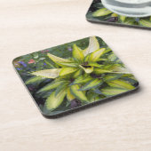 美しく大きい若草色の葉 コースター (左側)