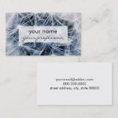 美しく敏感なタンポポの花の写真 名刺 (正面/裏面)