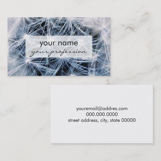 美しく敏感なタンポポの花の写真 名刺 (正面/裏面)