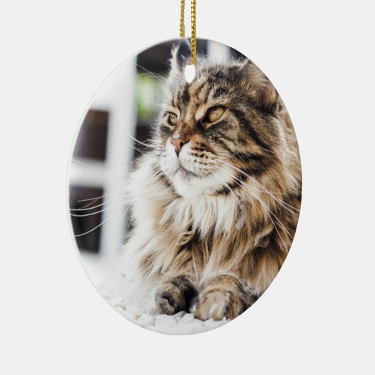 美しく柔らかい虎猫のシベリアのペルシャのデザイン セラミックオーナメント (右)