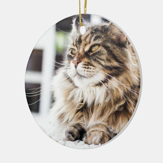 美しく柔らかい虎猫のシベリアのペルシャのデザイン セラミックオーナメント (左)