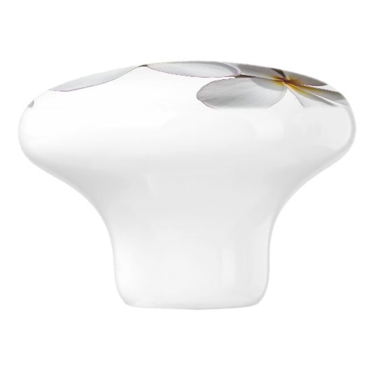 美しく白いプルメリアまたはFrangipaniの花 セラミックノブ (側面)