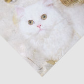 美しく白い子猫のクリスマス 薄葉紙 (詳細)