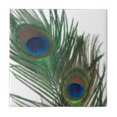 美しく白い孔雀の羽のタイル タイル (正面)