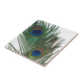 美しく白い孔雀の羽のタイル タイル (側面)