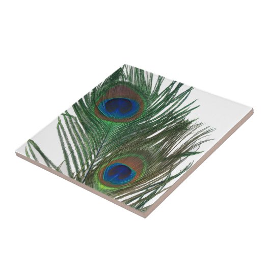 美しく白い孔雀の羽のタイル タイル (側面)