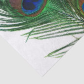 美しく白い孔雀の羽 薄葉紙 (詳細)