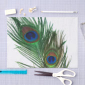 美しく白い孔雀の羽 薄葉紙 (クラフト)
