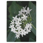 美しく白い熱帯花のクリップボード クリップボード (裏面)