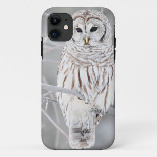 美しく白い雪のフクロウのデザイン iPhone 11 ケース