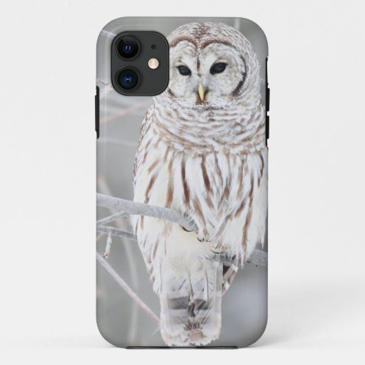 美しく白い雪のフクロウのデザイン Case-Mate iPhoneケース (裏面)