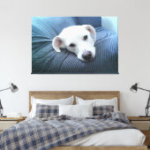 美しく穏やかな白い犬の顔の写真 キャンバスプリント (インサイチュ (寝室))