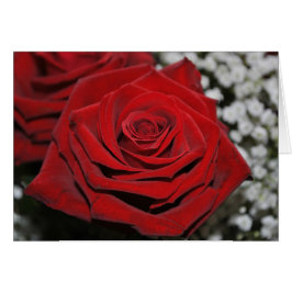 美しく赤いバラ