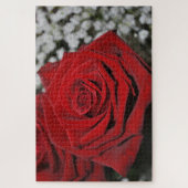 美しく赤いバラ ジグソーパズル (縦)